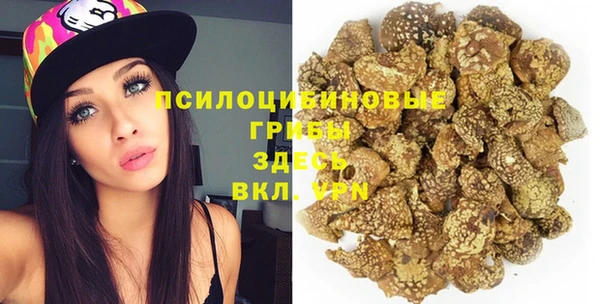 МДПВ Няндома