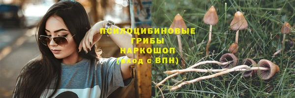 МДПВ Няндома